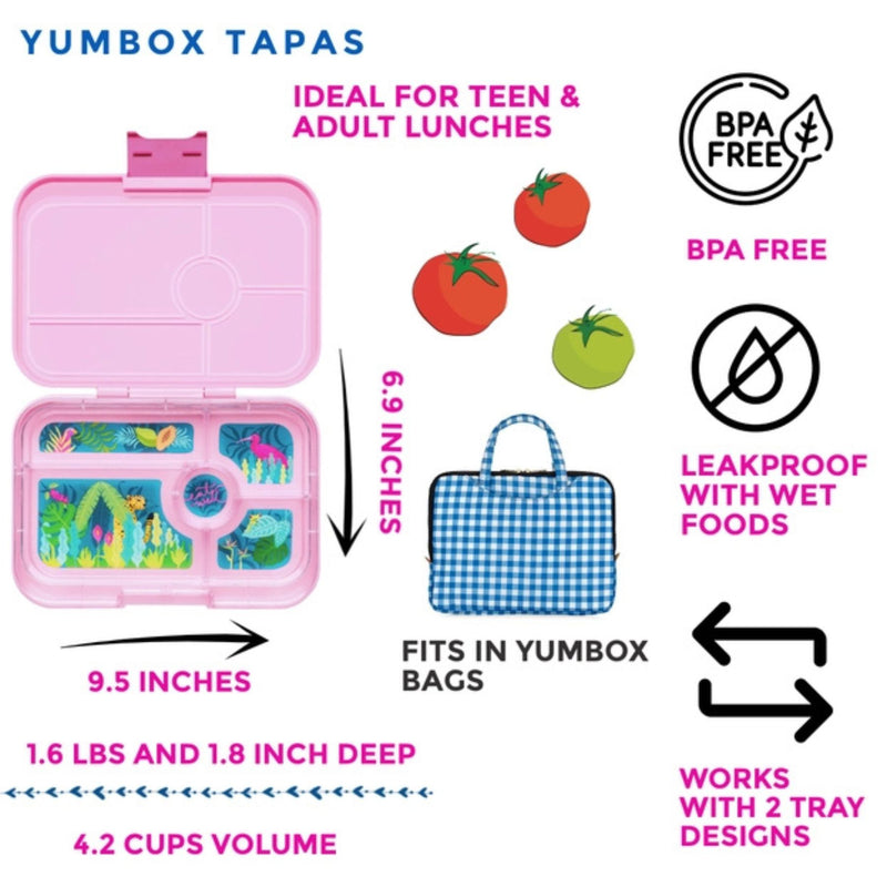 Tapas Bento Box