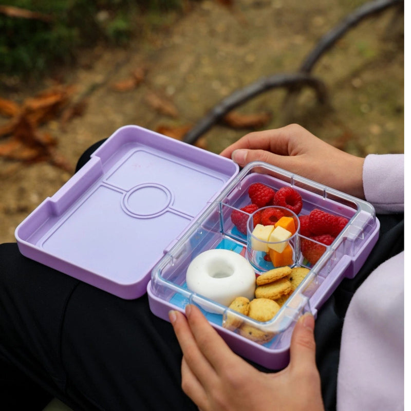Snack Size Bento Lunch Box