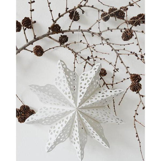 Paper Snowflakes Stars 22CM-Simply Green Baby