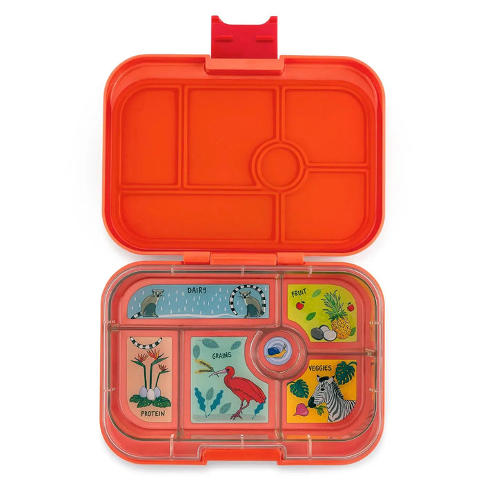 Yumbox Lunch Bento Box - Original 6 Compartments-Simply Green Baby